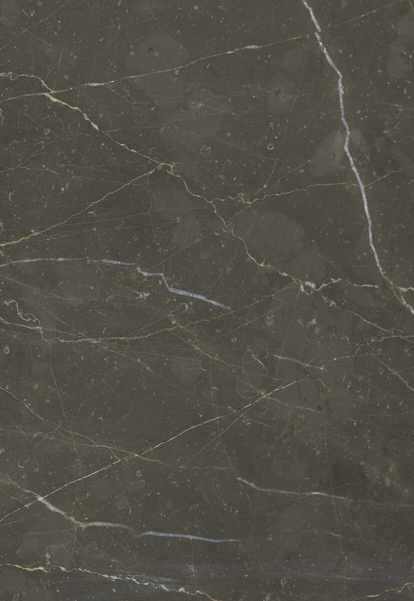 High-resolution dark marble surface with natural veins and intricate patterns, ideal for luxurious furniture, countertops, and interior decor. Perfect for enhancing upscale home and office design projects.
